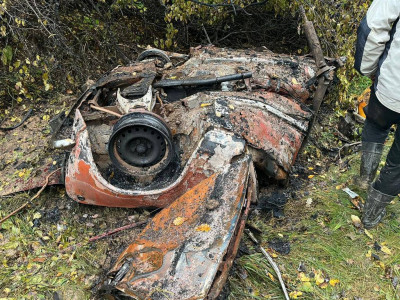 В Черниговской области четыре грибника погибли, подорвавшись на мине в лесу. Фото