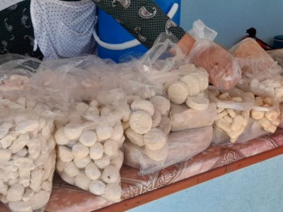 В Жетысу искажают статданные по туризму и не развивают придорожный бизнес