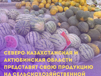 Северо-Казахстанская и Актюбинская области представят свою продукцию на ярмарке в столице