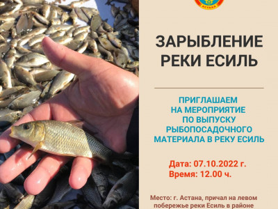Порядка 200 тысяч рыб выпустят в реку Есиль в столице