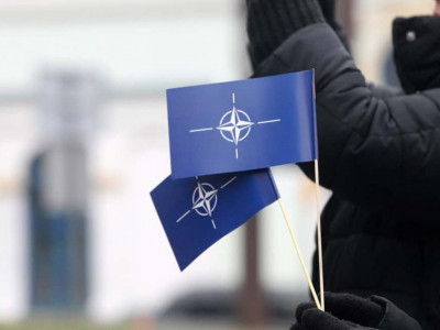 Стало известно, какие шансы у Украины быть принятой в НАТО