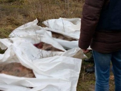 На Харьковщине эксгумированы тела пяти человек, погибших в результате российского авиаудара