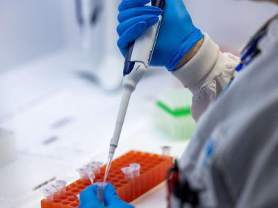 ВОЗ переименовала оспу обезьян в mpox