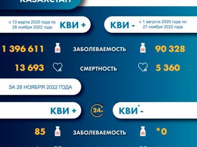 Информация о заболеваемости коронавирусной инфекцией в РК на 29.11.2022г.