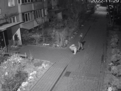 «Страна.ua»: Украину ожидает массовое воровство электрогенераторов