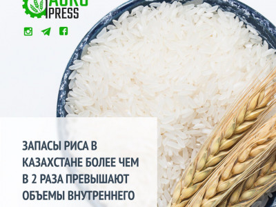 Запасы риса в Казахстане в 2 раза превышают объемы внутреннего потребления