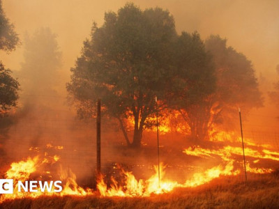 PG&E предстанет перед судом из-за смертоносного лесного пожара в Калифорнии