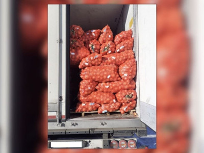 Огромную партию лука снова пытались вывезти из Казахстана в Россию