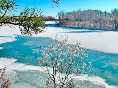 Прогноз погоды в Украине на выходные и субботу 4 февраля