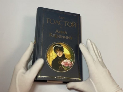 В Подмосковье нашли место гибели Анны Карениной — Financial Times