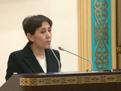 Т. Дуйсенова презентовала сенаторам проект Соцкодекса