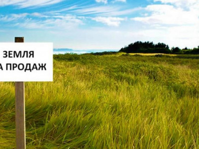 Продажа земли в Украине: в каких областях самая дорогая сельскохозяйственная земля