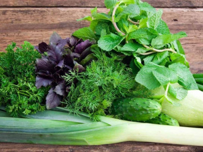 Какие продукты помогут сохранить молодость — нутрициолог