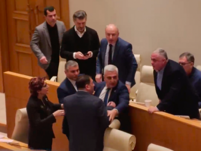 В парламенте Грузии произошла потасовка