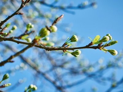Прогноз погоды в Казахстане на 24 марта