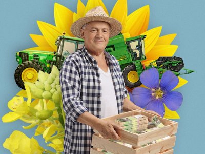 Фокус на масличные культуры: как на глобальный рынок будет влиять уменьшение в Украине посевных площадей под зерновые культуры