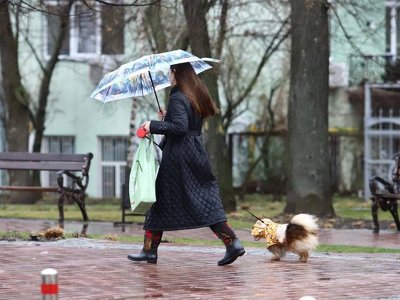 В Киеве ожидаются порывы ветра и понижение температуры воздуха: возможен мокрый снег и гололедица