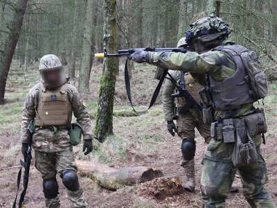 Швеция готовит украинских военных к ведению боевых действий в лесах
