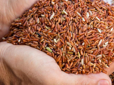 Это простой и вкусный продукт предотвращает развитие рака и болезней сердца