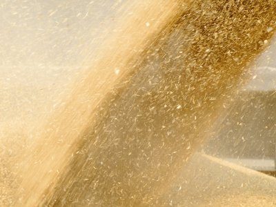 Следом за Cargill и Viterra. Еще один зернотрейдер рассматривает варианты выхода из РФ