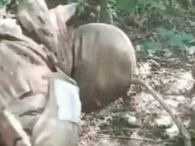 Российские захватчики жестоко казнили украинского пленника