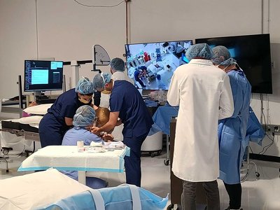 Компания Маска получила разрешение на вживление чипов людям в мозг