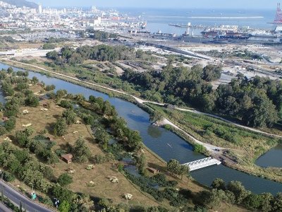 Парк в устье реки Кишон: хорошие новости