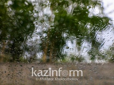 Дожди с грозами ожидаются в Казахстане 30 мая