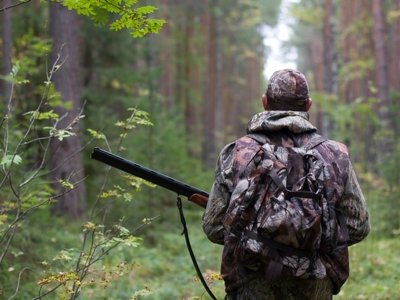 Охотничьи угодья Хрущева уйдут с молотка? Российские власти готовят к продаже уникальное охотхозяйство «Холодная гора» в Крыму
