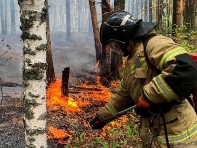 В Восточном Казахстане сохраняется пожарная опасность