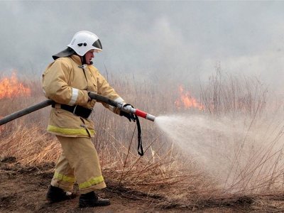 Почему возникают лесные пожары?
