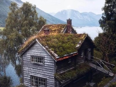 Зеленые крыши-лужайки (+Фото)