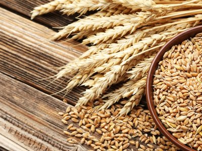 Венгрия хочет, чтобы ограничения на импорт агропродукции из Украины продлили до конца 2023 года