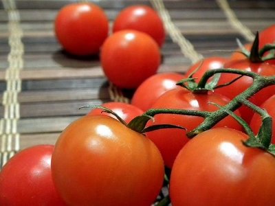В Италии фермеры начали выращивать томаты вместо винограда. Почему?