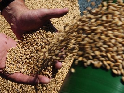 Украинские аграрии должны быть уверены, что смогут экспортировать новый урожай