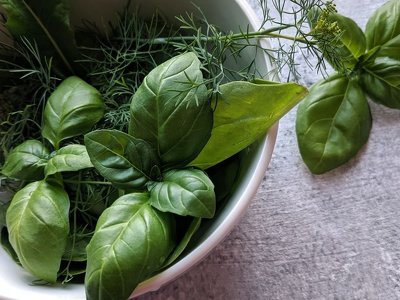 Будет свежей до 50 дней: как хранить разную зелень дома