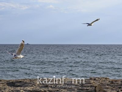 ЧС природного характера объявили в Актау
