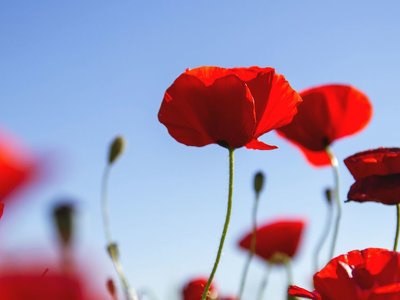 Гороскоп на 8 июня для всех знаков Зодиака: самый успешный день в лунном календаре