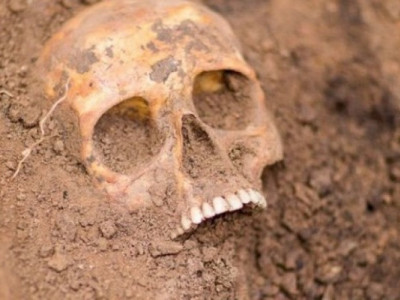 Житель села Омало нашел в подвале человеческий скелет