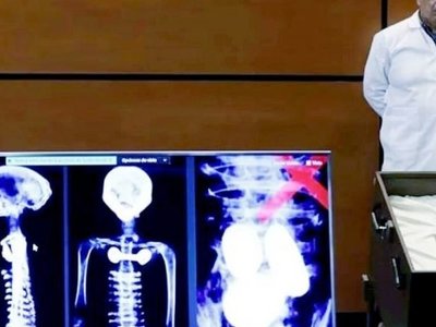 Предполагаемые «инопланетные» окаменелости в Мехико: истина где-то рядом?
