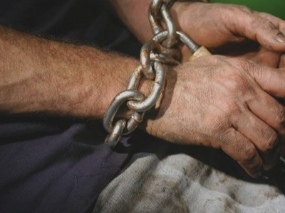 Факт трудового рабства выявлен в Туркестанской области