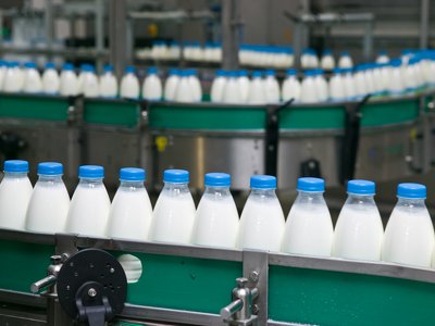 Несмотря на все политические турбулентности. Молочные ассоциации Украины и Польши призвали правительства к конструктивному диалогу