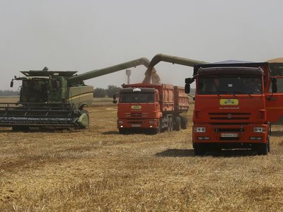 В госбюджете-2024 вернули средства в поддержку украинских аграриев – нардеп Сергей Лабазюк