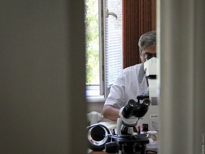 Сибирская язва у жителя села Жетыжар области Абай не подтвердилась