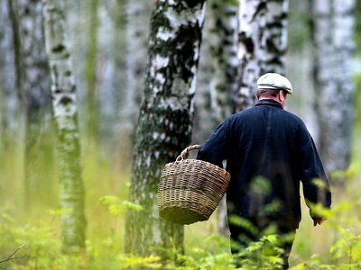 Погода без осадков ожидается на западе и юге Казахстана