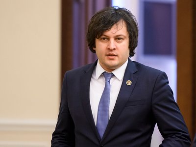 Председатель «Мечты» о «Революции роз» и помиловании Саакашвили