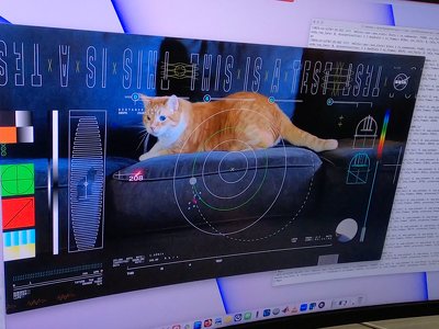 NASA по лазерному лучу передало на Землю из дальнего космоса видео с котиком