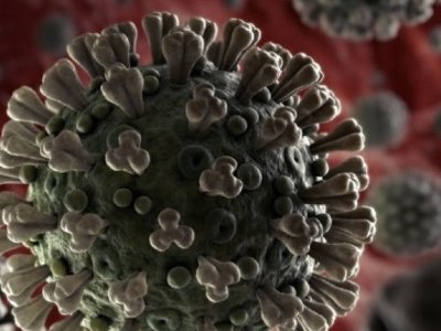 Обнаружена связь между коронавирусом и снижением когнитивных способностей