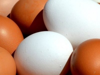 Стало известно, как готовить яйца по-научному