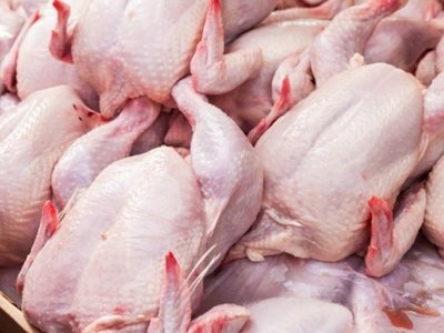 Китай снял ограничения на ввоз птицеводческой продукции из Казахстана